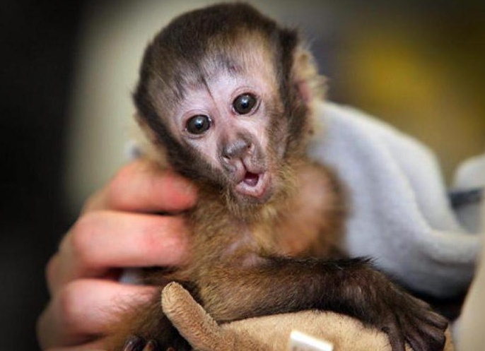 &amp;ETH;&amp;iquest;&amp;ETH;&amp;frac34;&amp;Ntilde;&amp;ETH;&amp;frac34;&amp;ETH;&amp;acute;&amp;Ntilde; &amp;ETH;&amp;acute;&amp;ETH;&amp;frac34;&amp;ETH;&amp;frac14;&amp;ETH;&amp;deg;&amp;Ntilde;&amp;ETH;&amp;frac12;&amp;ETH;&amp;cedil;&amp;Ntilde; &amp;ETH;&amp;frac34;&amp;ETH;&amp;plusmn;&amp;ETH;&amp;micro;&amp;ETH;&amp;middot;&amp;Ntilde;&amp;Ntilde;&amp;ETH;&amp;frac12;&amp;ETH;&amp;frac34;&amp;ETH;&amp;ordm;