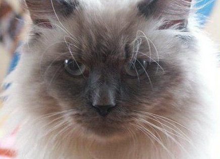 &amp;ETH;&amp;frac12;&amp;ETH;&amp;micro;&amp;ETH;&amp;sup2;&amp;Ntilde;&amp;ETH;&amp;ordm;&amp;ETH;&amp;deg;&amp;Ntilde; &amp;ETH;&amp;frac14;&amp;ETH;&amp;deg;&amp;Ntilde;&amp;ETH;&amp;ordm;&amp;ETH;&amp;deg;&amp;Ntilde;&amp;ETH;&amp;deg;&amp;ETH;&amp;acute;&amp;ETH;&amp;frac12;&amp;ETH;&amp;deg;&amp;Ntilde; &amp;ETH;&amp;ordm;&amp;ETH;&amp;frac34;&amp;Ntilde;&amp;ETH;&amp;ordm;&amp;ETH;&amp;deg; &amp;ETH;&amp;frac34;&amp;ETH;&amp;iquest;&amp;ETH;&amp;cedil;&amp;Ntilde;&amp;ETH;&amp;deg;&amp;ETH;&amp;frac12;&amp;ETH;&amp;cedil;&amp;ETH;&amp;micro; &amp;ETH;&amp;iquest;&amp;ETH;&amp;frac34;&amp;Ntilde;&amp;ETH;&amp;frac34;&amp;ETH;&amp;acute;&amp;Ntilde;