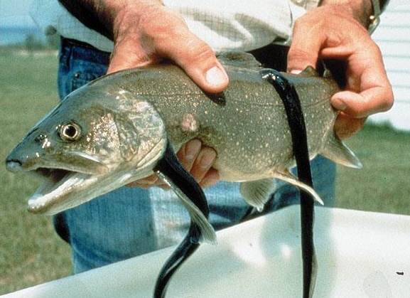 &amp;ETH;&amp;para;&amp;ETH;&amp;cedil;&amp;ETH;&amp;sup2;&amp;ETH;&amp;frac34;&amp;Ntilde;&amp;ETH;&amp;frac12;&amp;Ntilde;&amp;ETH;&amp;micro; &amp;ETH;&amp;iquest;&amp;ETH;&amp;deg;&amp;Ntilde;&amp;ETH;&amp;deg;&amp;ETH;&amp;middot;&amp;ETH;&amp;cedil;&amp;Ntilde;&amp;Ntilde; &amp;ETH;&amp;frac12;&amp;ETH;&amp;deg;&amp;ETH;&amp;middot;&amp;ETH;&amp;sup2;&amp;ETH;&amp;deg;&amp;ETH;&amp;frac12;&amp;ETH;&amp;cedil;&amp;Ntilde;