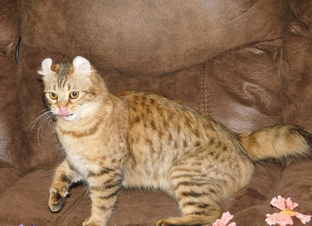 &amp;ETH;&amp;iquest;&amp;ETH;&amp;frac34;&amp;Ntilde;&amp;ETH;&amp;frac34;&amp;ETH;&amp;acute;&amp;ETH;&amp;deg; &amp;ETH;&amp;ordm;&amp;ETH;&amp;frac34;&amp;Ntilde;&amp;ETH;&amp;micro;&amp;ETH;&amp;ordm; &amp;Ntilde;&amp;ETH;&amp;deg;&amp;ETH;&amp;sup1;&amp;ETH;&amp;raquo;&amp;ETH;&amp;micro;&amp;ETH;&amp;frac12;&amp;ETH;&amp;acute;&amp;ETH;&amp;micro;&amp;Ntilde; &amp;Ntilde;&amp;ETH;&amp;frac34;&amp;Ntilde;&amp;ETH;&amp;frac34;