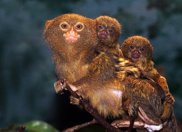 &amp;ETH;&amp;ordm;&amp;ETH;&amp;deg;&amp;Ntilde;&amp;ETH;&amp;raquo;&amp;ETH;&amp;cedil;&amp;ETH;&amp;ordm;&amp;ETH;&amp;frac34;&amp;ETH;&amp;sup2;&amp;ETH;&amp;deg;&amp;Ntilde; &amp;ETH;&amp;cedil;&amp;ETH;&amp;sup3;&amp;Ntilde;&amp;Ntilde;&amp;ETH;&amp;frac12;&amp;ETH;&amp;ordm;&amp;ETH;&amp;deg; &amp;Ntilde;&amp;ETH;&amp;frac34;&amp;Ntilde;&amp;ETH;&amp;frac34;