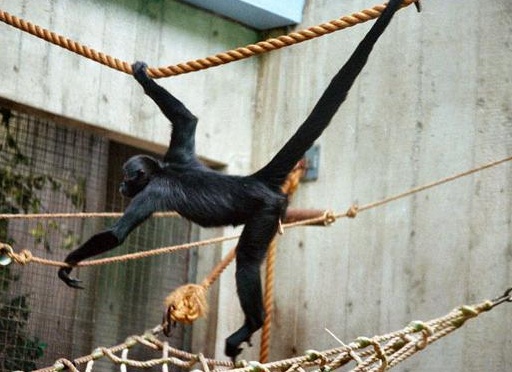 &amp;ETH;&amp;iquest;&amp;ETH;&amp;deg;&amp;Ntilde;&amp;ETH;&amp;ordm;&amp;ETH;&amp;frac34;&amp;ETH;&amp;frac34;&amp;ETH;&amp;plusmn;&amp;Ntilde;&amp;ETH;&amp;deg;&amp;ETH;&amp;middot;&amp;ETH;&amp;frac12;&amp;Ntilde;&amp;ETH;&amp;micro; &amp;ETH;&amp;frac34;&amp;ETH;&amp;plusmn;&amp;ETH;&amp;micro;&amp;ETH;&amp;middot;&amp;Ntilde;&amp;Ntilde;&amp;ETH;&amp;frac12;&amp;Ntilde;