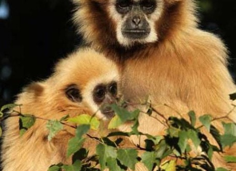 &amp;ETH;&amp;frac34;&amp;ETH;&amp;plusmn;&amp;ETH;&amp;micro;&amp;ETH;&amp;middot;&amp;Ntilde;&amp;Ntilde;&amp;ETH;&amp;frac12;&amp;Ntilde; &amp;Ntilde;&amp;ETH;&amp;cedil;&amp;Ntilde;&amp;Ntilde;&amp;ETH;&amp;micro;&amp;ETH;&amp;frac14;&amp;ETH;&amp;deg;&amp;Ntilde;&amp;ETH;&amp;cedil;&amp;ETH;&amp;ordm;&amp;ETH;&amp;deg; &amp;ETH;&amp;middot;&amp;ETH;&amp;deg;&amp;Ntilde;&amp;ETH;&amp;cedil;&amp;Ntilde;&amp;ETH;&amp;deg;