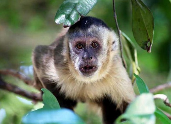 &amp;ETH;&amp;ordm;&amp;ETH;&amp;deg;&amp;ETH;&amp;iquest;&amp;Ntilde;&amp;Ntilde;&amp;ETH;&amp;cedil;&amp;ETH;&amp;frac12;&amp;Ntilde; &amp;Ntilde;&amp;ETH;&amp;frac34;&amp;ETH;&amp;acute; &amp;ETH;&amp;frac34;&amp;ETH;&amp;plusmn;&amp;ETH;&amp;micro;&amp;ETH;&amp;middot;&amp;Ntilde;&amp;Ntilde;&amp;ETH;&amp;frac12;