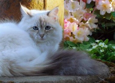 &amp;ETH;&amp;frac12;&amp;ETH;&amp;micro;&amp;ETH;&amp;sup2;&amp;Ntilde;&amp;ETH;&amp;ordm;&amp;ETH;&amp;deg;&amp;Ntilde; &amp;ETH;&amp;frac14;&amp;ETH;&amp;deg;&amp;Ntilde;&amp;ETH;&amp;ordm;&amp;ETH;&amp;deg;&amp;Ntilde;&amp;ETH;&amp;deg;&amp;ETH;&amp;acute;&amp;ETH;&amp;frac12;&amp;ETH;&amp;deg;&amp;Ntilde; &amp;ETH;&amp;frac34;&amp;ETH;&amp;iquest;&amp;ETH;&amp;cedil;&amp;Ntilde;&amp;ETH;&amp;deg;&amp;ETH;&amp;frac12;&amp;ETH;&amp;cedil;&amp;ETH;&amp;micro; &amp;ETH;&amp;iquest;&amp;ETH;&amp;frac34;&amp;Ntilde;&amp;ETH;&amp;frac34;&amp;ETH;&amp;acute;&amp;Ntilde; &amp;ETH;&amp;ordm;&amp;ETH;&amp;frac34;&amp;Ntilde;&amp;ETH;&amp;ordm;&amp;ETH;&amp;cedil;