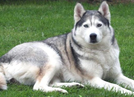 &amp;Ntilde;&amp;ETH;&amp;frac34;&amp;ETH;&amp;iquest; 10 &amp;Ntilde;&amp;ETH;&amp;deg;&amp;ETH;&amp;frac14;&amp;Ntilde;&amp;Ntilde; &amp;Ntilde;&amp;ETH;&amp;cedil;&amp;ETH;&amp;raquo;&amp;Ntilde;&amp;ETH;&amp;frac12;&amp;Ntilde;&amp;Ntilde; &amp;Ntilde;&amp;ETH;&amp;frac34;&amp;ETH;&amp;plusmn;&amp;ETH;&amp;deg;&amp;ETH;&amp;ordm; &amp;ETH;&amp;sup2; &amp;ETH;&amp;frac14;&amp;ETH;&amp;cedil;&amp;Ntilde;&amp;ETH;&amp;micro; &amp;Ntilde;&amp;ETH;&amp;cedil;&amp;ETH;&amp;plusmn;&amp;ETH;&amp;cedil;&amp;Ntilde;&amp;Ntilde;&amp;ETH;&amp;ordm;&amp;ETH;&amp;cedil;&amp;ETH;&amp;sup1; &amp;Ntilde;&amp;ETH;&amp;deg;&amp;Ntilde;&amp;ETH;&amp;ordm;&amp;ETH;&amp;cedil;