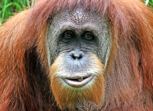 &amp;Ntilde;&amp;Ntilde;&amp;ETH;&amp;frac14;&amp;ETH;&amp;deg;&amp;Ntilde;&amp;Ntilde;&amp;ETH;&amp;deg;&amp;ETH;&amp;frac12;&amp;Ntilde;&amp;ETH;&amp;ordm;&amp;ETH;&amp;cedil;&amp;ETH;&amp;sup1; &amp;ETH;&amp;frac34;&amp;Ntilde;&amp;ETH;&amp;deg;&amp;ETH;&amp;frac12;&amp;ETH;&amp;sup3;&amp;Ntilde;&amp;Ntilde;&amp;ETH;&amp;deg;&amp;ETH;&amp;frac12; &amp;ETH;&amp;sup2;&amp;ETH;&amp;micro;&amp;Ntilde;