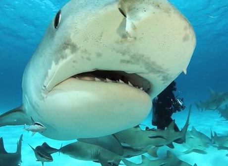 &amp;amp;amp;ETH;&amp;amp;amp;deg;&amp;amp;amp;ETH;&amp;amp;amp;ordm;&amp;amp;amp;Ntilde;&amp;amp;amp;ETH;&amp;amp;amp;raquo;&amp;amp;amp;Ntilde; &amp;amp;amp;ETH;&amp;amp;amp;sup2; &amp;amp;amp;ETH;&amp;amp;amp;frac34;&amp;amp;amp;ETH;&amp;amp;amp;ordm;&amp;amp;amp;ETH;&amp;amp;amp;micro;&amp;amp;amp;ETH;&amp;amp;amp;deg;&amp;amp;amp;ETH;&amp;amp;amp;frac12;&amp;amp;amp;ETH;&amp;amp;amp;micro;