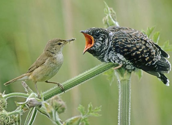 &amp;ETH;&amp;ordm;&amp;ETH;&amp;deg;&amp;ETH;&amp;ordm;&amp;ETH;&amp;cedil;&amp;ETH;&amp;micro; &amp;ETH;&amp;para;&amp;ETH;&amp;cedil;&amp;ETH;&amp;sup2;&amp;ETH;&amp;frac34;&amp;Ntilde;&amp;ETH;&amp;frac12;&amp;Ntilde;&amp;ETH;&amp;micro; &amp;ETH;&amp;iquest;&amp;ETH;&amp;deg;&amp;Ntilde;&amp;ETH;&amp;deg;&amp;ETH;&amp;middot;&amp;ETH;&amp;cedil;&amp;Ntilde;&amp;Ntilde;