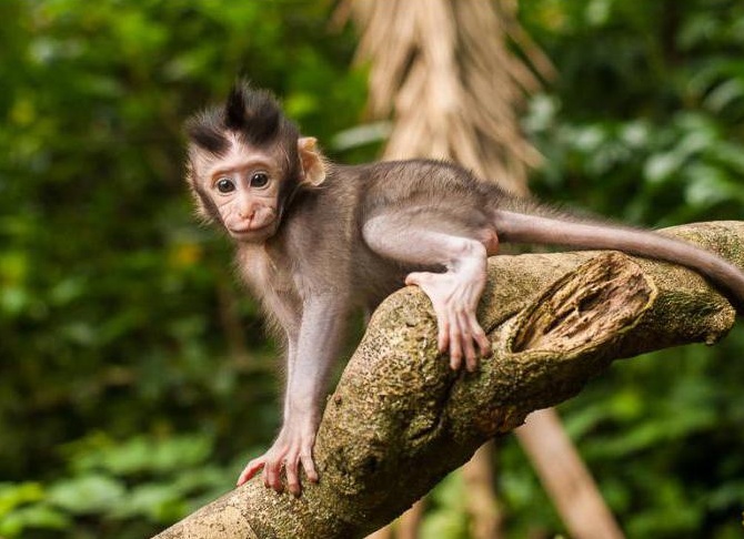&amp;ETH;&amp;frac34;&amp;ETH;&amp;plusmn;&amp;ETH;&amp;micro;&amp;ETH;&amp;middot;&amp;Ntilde;&amp;Ntilde;&amp;ETH;&amp;frac12;&amp;ETH;&amp;deg; &amp;Ntilde; &amp;ETH;&amp;plusmn;&amp;ETH;&amp;frac34;&amp;ETH;&amp;raquo;&amp;Ntilde;&amp;Ntilde;&amp;ETH;&amp;cedil;&amp;ETH;&amp;frac14;&amp;ETH;&amp;cedil; &amp;ETH;&amp;sup3;&amp;Ntilde;&amp;ETH;&amp;plusmn;&amp;ETH;&amp;deg;&amp;ETH;&amp;frac14;&amp;ETH;&amp;cedil;