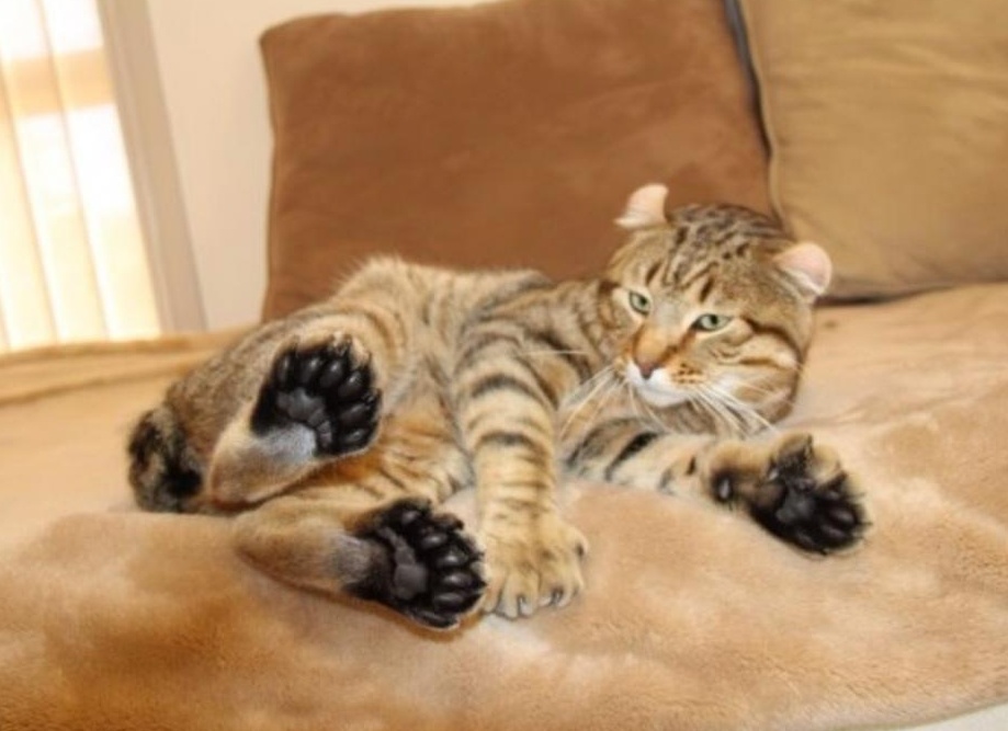 &amp;ETH;&amp;ordm;&amp;ETH;&amp;frac34;&amp;Ntilde;&amp;ETH;&amp;ordm;&amp;ETH;&amp;cedil; &amp;Ntilde;&amp;ETH;&amp;deg;&amp;ETH;&amp;sup1;&amp;ETH;&amp;raquo;&amp;ETH;&amp;micro;&amp;ETH;&amp;frac12;&amp;ETH;&amp;acute;&amp;ETH;&amp;micro;&amp;Ntilde;