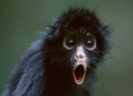 &amp;ETH;&amp;iquest;&amp;ETH;&amp;deg;&amp;Ntilde;&amp;ETH;&amp;ordm;&amp;ETH;&amp;frac34;&amp;ETH;&amp;frac34;&amp;ETH;&amp;plusmn;&amp;Ntilde;&amp;ETH;&amp;deg;&amp;ETH;&amp;middot;&amp;ETH;&amp;frac12;&amp;ETH;&amp;deg;&amp;Ntilde; &amp;ETH;&amp;frac34;&amp;ETH;&amp;plusmn;&amp;ETH;&amp;micro;&amp;ETH;&amp;middot;&amp;Ntilde;&amp;Ntilde;&amp;ETH;&amp;frac12;&amp;ETH;&amp;deg; &amp;Ntilde;&amp;ETH;&amp;frac34;&amp;Ntilde;&amp;ETH;&amp;frac34;