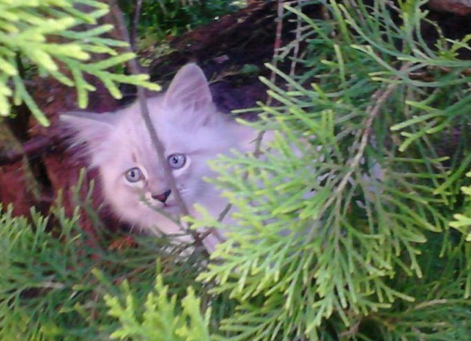 &amp;ETH;&amp;frac12;&amp;ETH;&amp;micro;&amp;ETH;&amp;sup2;&amp;Ntilde;&amp;ETH;&amp;ordm;&amp;ETH;&amp;deg;&amp;Ntilde; &amp;ETH;&amp;frac14;&amp;ETH;&amp;deg;&amp;Ntilde;&amp;ETH;&amp;ordm;&amp;ETH;&amp;deg;&amp;Ntilde;&amp;ETH;&amp;deg;&amp;ETH;&amp;acute;&amp;ETH;&amp;frac12;&amp;ETH;&amp;deg;&amp;Ntilde; &amp;ETH;&amp;frac34;&amp;Ntilde;&amp;ETH;&amp;middot;&amp;Ntilde;&amp;ETH;&amp;sup2;&amp;Ntilde; &amp;ETH;&amp;iquest;&amp;ETH;&amp;frac34;&amp;ETH;&amp;ordm;&amp;Ntilde;&amp;ETH;&amp;iquest;&amp;ETH;&amp;deg;&amp;Ntilde;&amp;ETH;&amp;micro;&amp;ETH;&amp;raquo;&amp;ETH;&amp;micro;&amp;ETH;&amp;sup1;