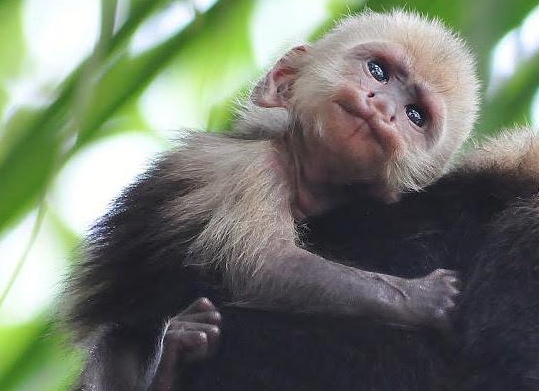 &amp;ETH;&amp;sup3;&amp;ETH;&amp;acute;&amp;ETH;&amp;micro; &amp;ETH;&amp;frac34;&amp;ETH;&amp;plusmn;&amp;ETH;&amp;cedil;&amp;Ntilde;&amp;ETH;&amp;deg;&amp;Ntilde;&amp;Ntilde; &amp;ETH;&amp;frac34;&amp;ETH;&amp;plusmn;&amp;ETH;&amp;micro;&amp;ETH;&amp;middot;&amp;Ntilde;&amp;Ntilde;&amp;ETH;&amp;frac12;&amp;Ntilde; &amp;ETH;&amp;ordm;&amp;ETH;&amp;deg;&amp;ETH;&amp;iquest;&amp;Ntilde;&amp;Ntilde;&amp;ETH;&amp;cedil;&amp;ETH;&amp;frac12;&amp;Ntilde;