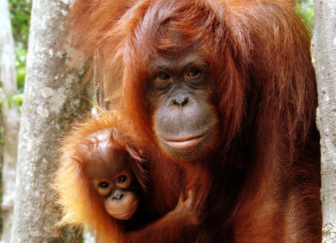 &amp;ETH;&amp;frac34;&amp;ETH;&amp;plusmn;&amp;ETH;&amp;micro;&amp;ETH;&amp;middot;&amp;Ntilde;&amp;Ntilde;&amp;ETH;&amp;frac12;&amp;ETH;&amp;deg; &amp;Ntilde; &amp;ETH;&amp;ordm;&amp;Ntilde;&amp;ETH;&amp;deg;&amp;Ntilde;&amp;ETH;&amp;frac12;&amp;Ntilde;&amp;ETH;&amp;frac14;&amp;ETH;&amp;cedil; &amp;ETH;&amp;sup3;&amp;Ntilde;&amp;ETH;&amp;plusmn;&amp;ETH;&amp;deg;&amp;ETH;&amp;frac14;&amp;ETH;&amp;cedil;