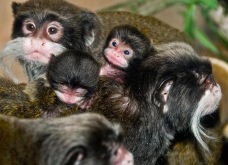 &amp;ETH;&amp;cedil;&amp;ETH;&amp;frac14;&amp;ETH;&amp;iquest;&amp;ETH;&amp;micro;&amp;Ntilde;&amp;ETH;&amp;deg;&amp;Ntilde;&amp;ETH;&amp;frac34;&amp;Ntilde;&amp;Ntilde;&amp;ETH;&amp;ordm;&amp;ETH;&amp;cedil;&amp;ETH;&amp;sup1; &amp;Ntilde;&amp;ETH;&amp;deg;&amp;ETH;&amp;frac14;&amp;ETH;&amp;deg;&amp;Ntilde;&amp;ETH;&amp;cedil;&amp;ETH;&amp;frac12; &amp;Ntilde;&amp;Ntilde;&amp;ETH;&amp;frac34;