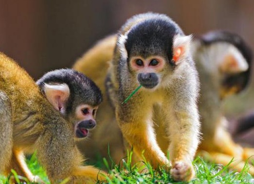 &amp;Ntilde;&amp;ETH;&amp;frac34;&amp;ETH;&amp;acute; &amp;ETH;&amp;deg;&amp;ETH;&amp;frac14;&amp;ETH;&amp;micro;&amp;Ntilde;&amp;ETH;&amp;cedil;&amp;ETH;&amp;ordm;&amp;ETH;&amp;deg;&amp;ETH;&amp;frac12;&amp;Ntilde;&amp;ETH;&amp;ordm;&amp;ETH;&amp;cedil;&amp;Ntilde; &amp;Ntilde;&amp;ETH;&amp;micro;&amp;ETH;&amp;iquest;&amp;ETH;&amp;ordm;&amp;ETH;&amp;frac34;&amp;Ntilde;&amp;ETH;&amp;sup2;&amp;ETH;&amp;frac34;&amp;Ntilde;&amp;Ntilde;&amp;Ntilde;&amp;Ntilde; &amp;ETH;&amp;frac34;&amp;ETH;&amp;plusmn;&amp;ETH;&amp;micro;&amp;ETH;&amp;middot;&amp;Ntilde;&amp;Ntilde;&amp;ETH;&amp;frac12;