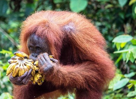 &amp;Ntilde;&amp;Ntilde;&amp;ETH;&amp;frac14;&amp;ETH;&amp;deg;&amp;Ntilde;&amp;Ntilde;&amp;ETH;&amp;deg;&amp;ETH;&amp;frac12;&amp;Ntilde;&amp;ETH;&amp;ordm;&amp;ETH;&amp;cedil;&amp;ETH;&amp;sup1; &amp;ETH;&amp;frac34;&amp;Ntilde;&amp;ETH;&amp;deg;&amp;ETH;&amp;frac12;&amp;ETH;&amp;sup3;&amp;Ntilde;&amp;Ntilde;&amp;ETH;&amp;deg;&amp;ETH;&amp;frac12; &amp;ETH;&amp;frac34;&amp;ETH;&amp;iquest;&amp;ETH;&amp;cedil;&amp;Ntilde;&amp;ETH;&amp;deg;&amp;ETH;&amp;frac12;&amp;ETH;&amp;cedil;&amp;ETH;&amp;micro;