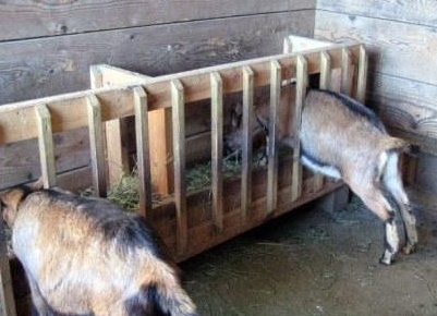 &amp;Ntilde;&amp;ETH;&amp;micro;&amp;ETH;&amp;frac14; &amp;ETH;&amp;ordm;&amp;ETH;&amp;frac34;&amp;Ntilde;&amp;ETH;&amp;frac14;&amp;ETH;&amp;cedil;&amp;Ntilde;&amp;Ntilde; &amp;ETH;&amp;ordm;&amp;ETH;&amp;frac34;&amp;ETH;&amp;middot;&amp;Ntilde;