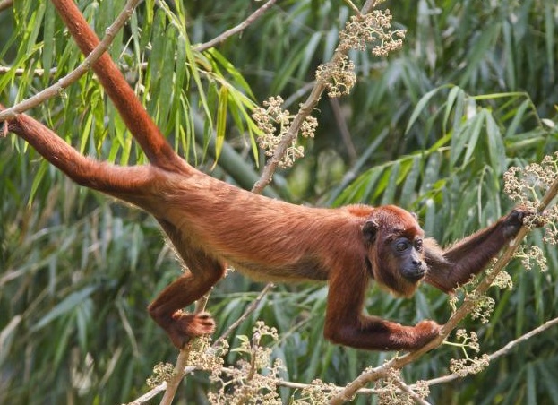 &amp;ETH;&amp;iquest;&amp;ETH;&amp;deg;&amp;Ntilde;&amp;ETH;&amp;ordm;&amp;ETH;&amp;frac34;&amp;ETH;&amp;frac34;&amp;ETH;&amp;plusmn;&amp;Ntilde;&amp;ETH;&amp;deg;&amp;ETH;&amp;middot;&amp;ETH;&amp;frac12;&amp;ETH;&amp;deg;&amp;Ntilde; &amp;ETH;&amp;frac34;&amp;ETH;&amp;plusmn;&amp;ETH;&amp;micro;&amp;ETH;&amp;middot;&amp;Ntilde;&amp;Ntilde;&amp;ETH;&amp;frac12;&amp;ETH;&amp;deg; &amp;Ntilde;&amp;ETH;&amp;para;&amp;ETH;&amp;frac12;&amp;ETH;&amp;frac34;&amp;ETH;&amp;sup1; &amp;ETH;&amp;deg;&amp;ETH;&amp;frac14;&amp;ETH;&amp;micro;&amp;Ntilde;&amp;ETH;&amp;cedil;&amp;ETH;&amp;ordm;&amp;ETH;&amp;cedil;