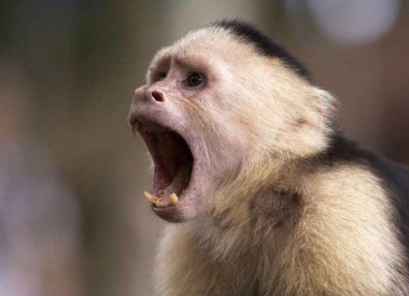 &amp;Ntilde;&amp;ETH;&amp;cedil;&amp;Ntilde;&amp;ETH;&amp;frac34;&amp;ETH;&amp;ordm;&amp;ETH;&amp;frac34;&amp;ETH;&amp;frac12;&amp;ETH;&amp;frac34;&amp;Ntilde;&amp;ETH;&amp;deg;&amp;Ntilde; &amp;ETH;&amp;frac34;&amp;ETH;&amp;plusmn;&amp;ETH;&amp;micro;&amp;ETH;&amp;middot;&amp;Ntilde;&amp;Ntilde;&amp;ETH;&amp;frac12;&amp;ETH;&amp;deg;