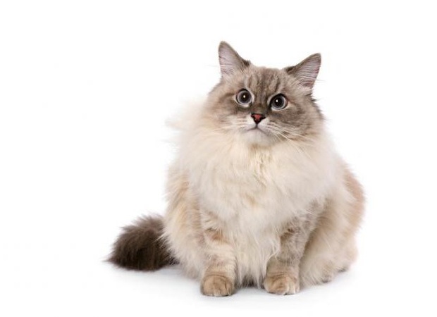 &amp;ETH;&amp;frac12;&amp;ETH;&amp;micro;&amp;ETH;&amp;sup2;&amp;Ntilde;&amp;ETH;&amp;ordm;&amp;ETH;&amp;deg;&amp;Ntilde; &amp;ETH;&amp;frac14;&amp;ETH;&amp;deg;&amp;Ntilde;&amp;ETH;&amp;ordm;&amp;ETH;&amp;deg;&amp;Ntilde;&amp;ETH;&amp;deg;&amp;ETH;&amp;acute;&amp;ETH;&amp;frac12;&amp;ETH;&amp;deg;&amp;Ntilde; &amp;ETH;&amp;ordm;&amp;ETH;&amp;frac34;&amp;Ntilde;&amp;ETH;&amp;ordm;&amp;ETH;&amp;deg; &amp;ETH;&amp;frac34;&amp;ETH;&amp;iquest;&amp;ETH;&amp;cedil;&amp;Ntilde;&amp;ETH;&amp;deg;&amp;ETH;&amp;frac12;&amp;ETH;&amp;cedil;&amp;ETH;&amp;micro; &amp;ETH;&amp;iquest;&amp;ETH;&amp;frac34;&amp;Ntilde;&amp;ETH;&amp;frac34;&amp;ETH;&amp;acute;&amp;Ntilde; &amp;Ntilde;&amp;ETH;&amp;deg;&amp;Ntilde;&amp;ETH;&amp;deg;&amp;ETH;&amp;ordm;&amp;Ntilde;&amp;ETH;&amp;micro;&amp;Ntilde;