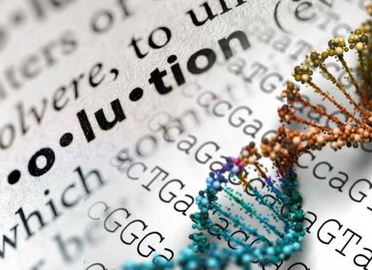 &amp;ETH;&amp;shy;&amp;Ntilde;&amp;ETH;&amp;deg;&amp;ETH;&amp;iquest;&amp;Ntilde; &amp;ETH;&amp;deg;&amp;ETH;&amp;frac12;&amp;Ntilde;&amp;Ntilde;&amp;ETH;&amp;frac34;&amp;ETH;&amp;iquest;&amp;ETH;&amp;frac34;&amp;ETH;&amp;sup3;&amp;ETH;&amp;micro;&amp;ETH;&amp;frac12;&amp;ETH;&amp;micro;&amp;ETH;&amp;middot;&amp;ETH;&amp;deg;