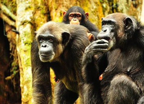 &amp;ETH;&amp;sup3;&amp;ETH;&amp;acute;&amp;ETH;&amp;micro; &amp;ETH;&amp;para;&amp;ETH;&amp;cedil;&amp;ETH;&amp;sup2;&amp;Ntilde;&amp;Ntilde; &amp;ETH;&amp;frac34;&amp;ETH;&amp;plusmn;&amp;ETH;&amp;micro;&amp;ETH;&amp;middot;&amp;Ntilde;&amp;Ntilde;&amp;ETH;&amp;frac12;&amp;Ntilde;