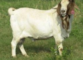 &amp;Ntilde;&amp;ETH;&amp;micro;&amp;ETH;&amp;frac14; &amp;ETH;&amp;ordm;&amp;ETH;&amp;frac34;&amp;Ntilde;&amp;ETH;&amp;frac14;&amp;ETH;&amp;cedil;&amp;Ntilde;&amp;Ntilde; &amp;ETH;&amp;ordm;&amp;ETH;&amp;frac34;&amp;ETH;&amp;middot;&amp;Ntilde; &amp;Ntilde;&amp;Ntilde;&amp;ETH;&amp;frac34;&amp;ETH;&amp;plusmn;&amp;Ntilde; &amp;ETH;&amp;plusmn;&amp;Ntilde;&amp;ETH;&amp;raquo;&amp;ETH;&amp;frac34; &amp;ETH;&amp;plusmn;&amp;ETH;&amp;frac34;&amp;ETH;&amp;raquo;&amp;Ntilde;&amp;Ntilde;&amp;ETH;&amp;micro; &amp;ETH;&amp;frac14;&amp;ETH;&amp;frac34;&amp;ETH;&amp;raquo;&amp;ETH;&amp;frac34;&amp;ETH;&amp;ordm;&amp;ETH;&amp;deg;