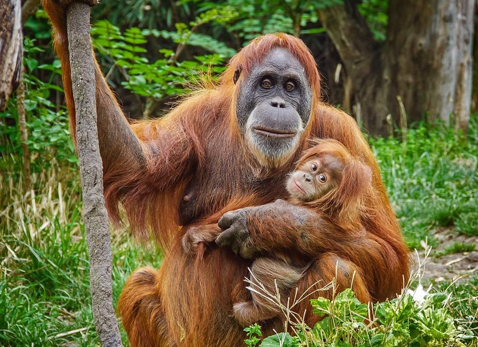 &amp;ETH;&amp;iexcl;&amp;Ntilde;&amp;ETH;&amp;frac14;&amp;ETH;&amp;deg;&amp;Ntilde;&amp;Ntilde;&amp;ETH;&amp;deg;&amp;ETH;&amp;frac12;&amp;Ntilde;&amp;ETH;&amp;ordm;&amp;ETH;&amp;cedil;&amp;ETH;&amp;sup1; &amp;ETH;&amp;frac34;&amp;Ntilde;&amp;ETH;&amp;deg;&amp;ETH;&amp;frac12;&amp;ETH;&amp;sup3;&amp;Ntilde;&amp;Ntilde;&amp;ETH;&amp;deg;&amp;ETH;&amp;frac12;