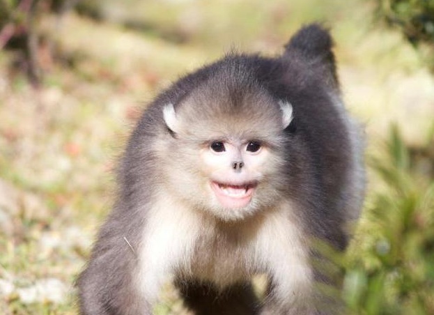 &amp;ETH;&amp;frac34;&amp;ETH;&amp;plusmn;&amp;ETH;&amp;micro;&amp;ETH;&amp;middot;&amp;Ntilde;&amp;Ntilde;&amp;ETH;&amp;frac12;&amp;ETH;&amp;deg; &amp;Ntilde; &amp;ETH;&amp;sup2;&amp;Ntilde;&amp;Ntilde;&amp;Ntilde;&amp;ETH;&amp;frac12;&amp;Ntilde;&amp;Ntilde;&amp;Ntilde;&amp;ETH;&amp;frac14;&amp;ETH;&amp;cedil; &amp;ETH;&amp;sup3;&amp;Ntilde;&amp;ETH;&amp;plusmn;&amp;ETH;&amp;deg;&amp;ETH;&amp;frac14;&amp;ETH;&amp;cedil;