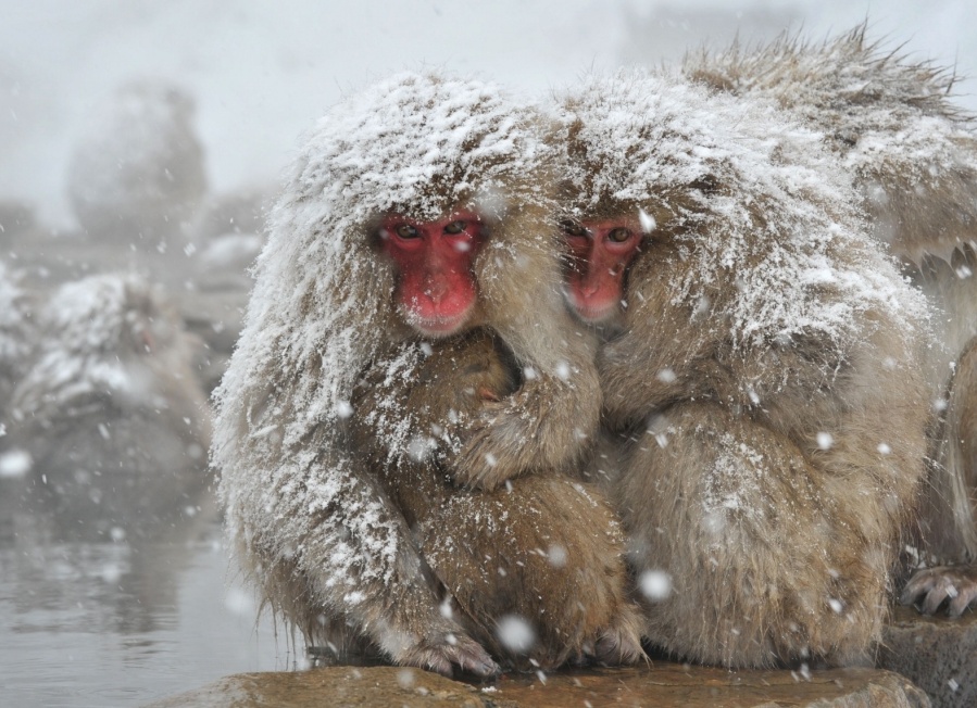&amp;ETH;&amp;frac14;&amp;ETH;&amp;deg;&amp;ETH;&amp;ordm;&amp;ETH;&amp;deg;&amp;ETH;&amp;ordm;&amp;ETH;&amp;cedil; &amp;Ntilde; &amp;ETH;&amp;ordm;&amp;Ntilde;&amp;ETH;&amp;deg;&amp;Ntilde;&amp;ETH;&amp;frac12;&amp;ETH;&amp;frac34;&amp;ETH;&amp;sup1; &amp;ETH;&amp;iquest;&amp;ETH;&amp;frac34;&amp;ETH;&amp;iquest;&amp;ETH;&amp;frac34;&amp;ETH;&amp;sup1;
