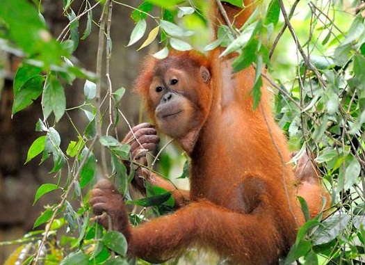 &amp;Ntilde;&amp;Ntilde;&amp;ETH;&amp;frac14;&amp;ETH;&amp;deg;&amp;Ntilde;&amp;Ntilde;&amp;ETH;&amp;deg;&amp;ETH;&amp;frac12;&amp;Ntilde;&amp;ETH;&amp;ordm;&amp;ETH;&amp;cedil;&amp;ETH;&amp;sup1; &amp;ETH;&amp;frac34;&amp;Ntilde;&amp;ETH;&amp;deg;&amp;ETH;&amp;frac12;&amp;ETH;&amp;sup3;&amp;Ntilde;&amp;Ntilde;&amp;ETH;&amp;deg;&amp;ETH;&amp;frac12; &amp;ETH;&amp;sup3;&amp;ETH;&amp;frac34;&amp;ETH;&amp;raquo;&amp;ETH;&amp;frac34;&amp;ETH;&amp;sup2;&amp;ETH;&amp;deg;