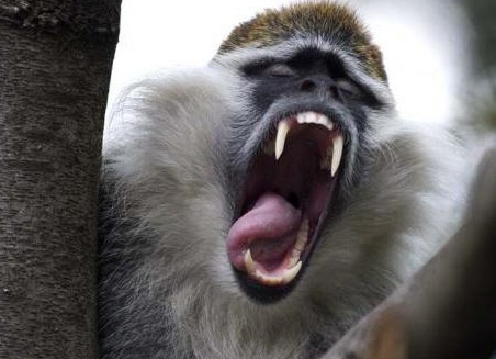 &amp;ETH;&amp;sup3;&amp;ETH;&amp;acute;&amp;ETH;&amp;micro; &amp;ETH;&amp;para;&amp;ETH;&amp;cedil;&amp;ETH;&amp;sup2;&amp;Ntilde;&amp;Ntilde; &amp;ETH;&amp;frac34;&amp;ETH;&amp;plusmn;&amp;ETH;&amp;micro;&amp;ETH;&amp;middot;&amp;Ntilde;&amp;Ntilde;&amp;ETH;&amp;frac12;&amp;Ntilde; &amp;ETH;&amp;sup2; &amp;ETH;&amp;acute;&amp;ETH;&amp;para;&amp;Ntilde;&amp;ETH;&amp;frac12;&amp;ETH;&amp;sup3;&amp;ETH;&amp;raquo;&amp;Ntilde;&amp;Ntilde;