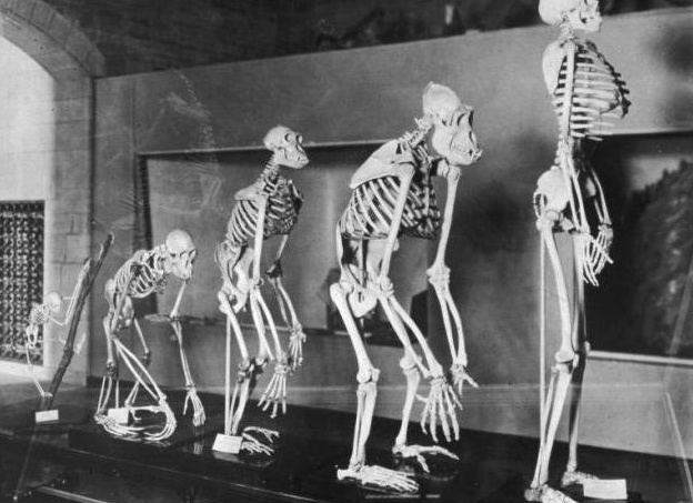 &amp;ETH;&amp;ETH;&amp;frac12;&amp;Ntilde;&amp;Ntilde;&amp;ETH;&amp;frac34;&amp;ETH;&amp;iquest;&amp;ETH;&amp;frac34;&amp;ETH;&amp;sup3;&amp;ETH;&amp;micro;&amp;ETH;&amp;frac12;&amp;ETH;&amp;micro;&amp;ETH;&amp;middot; &amp;Ntilde;&amp;ETH;&amp;micro;&amp;ETH;&amp;raquo;&amp;ETH;&amp;frac34;&amp;ETH;&amp;sup2;&amp;ETH;&amp;micro;&amp;ETH;&amp;ordm;&amp;ETH;&amp;deg;