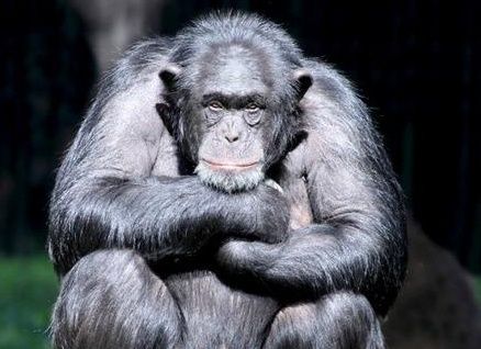 &amp;Ntilde;&amp;Ntilde;&amp;ETH;&amp;frac34;&amp;ETH;&amp;acute;&amp;Ntilde;&amp;Ntilde;&amp;ETH;&amp;sup2;&amp;ETH;&amp;frac34; &amp;Ntilde;&amp;ETH;&amp;micro;&amp;ETH;&amp;raquo;&amp;ETH;&amp;frac34;&amp;ETH;&amp;sup2;&amp;ETH;&amp;micro;&amp;ETH;&amp;ordm;&amp;ETH;&amp;deg; &amp;ETH;&amp;cedil; &amp;Ntilde;&amp;ETH;&amp;micro;&amp;ETH;&amp;raquo;&amp;ETH;&amp;frac34;&amp;ETH;&amp;sup2;&amp;ETH;&amp;micro;&amp;ETH;&amp;ordm;&amp;ETH;&amp;frac34;&amp;ETH;&amp;frac34;&amp;ETH;&amp;plusmn;&amp;Ntilde;&amp;ETH;&amp;deg;&amp;ETH;&amp;middot;&amp;ETH;&amp;frac12;&amp;Ntilde;&amp;Ntilde; &amp;ETH;&amp;frac34;&amp;ETH;&amp;plusmn;&amp;ETH;&amp;micro;&amp;ETH;&amp;middot;&amp;Ntilde;&amp;Ntilde;&amp;ETH;&amp;frac12;