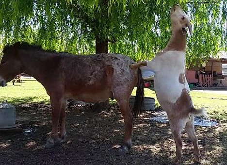 &amp;ETH;&amp;ordm;&amp;ETH;&amp;deg;&amp;ETH;&amp;ordm; &amp;ETH;&amp;iquest;&amp;Ntilde;&amp;ETH;&amp;deg;&amp;ETH;&amp;sup2;&amp;ETH;&amp;cedil;&amp;ETH;&amp;raquo;&amp;Ntilde;&amp;ETH;&amp;frac12;&amp;ETH;&amp;frac34; &amp;ETH;&amp;ordm;&amp;ETH;&amp;frac34;&amp;Ntilde;&amp;ETH;&amp;frac14;&amp;ETH;&amp;cedil;&amp;Ntilde;&amp;Ntilde; &amp;ETH;&amp;ordm;&amp;ETH;&amp;frac34;&amp;ETH;&amp;middot;