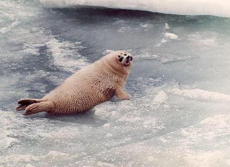 &amp;ETH;&amp;frac14;&amp;ETH;&amp;micro;&amp;ETH;&amp;para;&amp;ETH;&amp;acute;&amp;Ntilde;&amp;ETH;&amp;frac12;&amp;ETH;&amp;deg;&amp;Ntilde;&amp;ETH;&amp;frac34;&amp;ETH;&amp;acute;&amp;ETH;&amp;frac12;&amp;ETH;&amp;deg;&amp;Ntilde; &amp;ETH;&amp;ordm;&amp;Ntilde;&amp;ETH;&amp;deg;&amp;Ntilde;&amp;ETH;&amp;frac12;&amp;ETH;&amp;deg;&amp;Ntilde; &amp;ETH;&amp;ordm;&amp;ETH;&amp;frac12;&amp;ETH;&amp;cedil;&amp;ETH;&amp;sup3;&amp;ETH;&amp;deg;