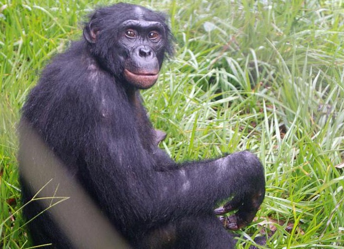 &amp;ETH;&amp;frac34;&amp;ETH;&amp;plusmn;&amp;ETH;&amp;micro;&amp;ETH;&amp;middot;&amp;Ntilde;&amp;Ntilde;&amp;ETH;&amp;frac12;&amp;ETH;&amp;deg; &amp;Ntilde; &amp;ETH;&amp;sup3;&amp;Ntilde;&amp;ETH;&amp;plusmn;&amp;ETH;&amp;deg;&amp;ETH;&amp;frac14;&amp;ETH;&amp;cedil;