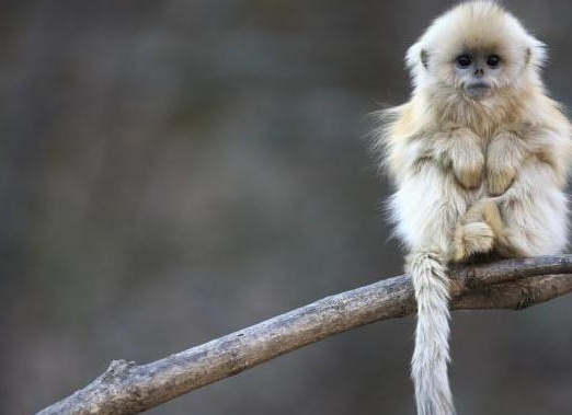 &amp;ETH;&amp;acute;&amp;ETH;&amp;frac34;&amp;ETH;&amp;frac14;&amp;ETH;&amp;deg;&amp;Ntilde;&amp;ETH;&amp;frac12;&amp;ETH;&amp;cedil;&amp;ETH;&amp;micro; &amp;ETH;&amp;frac34;&amp;ETH;&amp;plusmn;&amp;ETH;&amp;micro;&amp;ETH;&amp;middot;&amp;Ntilde;&amp;Ntilde;&amp;ETH;&amp;frac12;&amp;ETH;&amp;ordm;&amp;ETH;&amp;cedil;