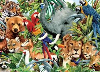 Ñ
аÑакÑеÑиÑÑика ÑаÑÑÑва живоÑнÑÑ