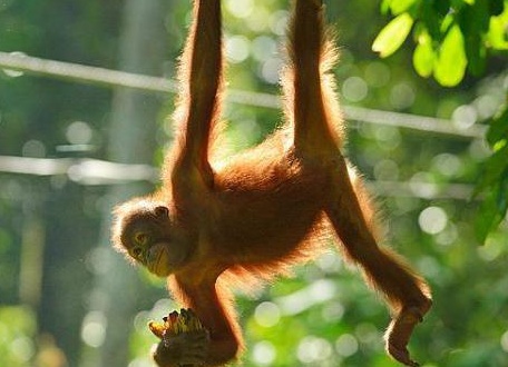 &amp;ETH;&amp;sup3;&amp;ETH;&amp;acute;&amp;ETH;&amp;micro; &amp;ETH;&amp;para;&amp;ETH;&amp;cedil;&amp;ETH;&amp;sup2;&amp;Ntilde;&amp;Ntilde; &amp;ETH;&amp;frac34;&amp;ETH;&amp;plusmn;&amp;ETH;&amp;micro;&amp;ETH;&amp;middot;&amp;Ntilde;&amp;Ntilde;&amp;ETH;&amp;frac12;&amp;Ntilde; &amp;ETH;&amp;sup2; &amp;ETH;&amp;ordm;&amp;ETH;&amp;deg;&amp;ETH;&amp;ordm;&amp;ETH;&amp;frac34;&amp;ETH;&amp;sup1; &amp;Ntilde;&amp;Ntilde;&amp;Ntilde;&amp;ETH;&amp;deg;&amp;ETH;&amp;frac12;&amp;ETH;&amp;micro;