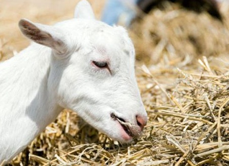 &amp;Ntilde;&amp;ETH;&amp;ordm;&amp;ETH;&amp;frac34;&amp;ETH;&amp;raquo;&amp;Ntilde;&amp;ETH;&amp;ordm;&amp;ETH;&amp;frac34; &amp;Ntilde;&amp;ETH;&amp;deg;&amp;ETH;&amp;middot; &amp;ETH;&amp;sup2; &amp;ETH;&amp;acute;&amp;ETH;&amp;micro;&amp;ETH;&amp;frac12;&amp;Ntilde; &amp;ETH;&amp;ordm;&amp;ETH;&amp;frac34;&amp;Ntilde;&amp;ETH;&amp;frac14;&amp;ETH;&amp;cedil;&amp;Ntilde;&amp;Ntilde; &amp;ETH;&amp;ordm;&amp;ETH;&amp;frac34;&amp;ETH;&amp;middot;&amp;Ntilde;