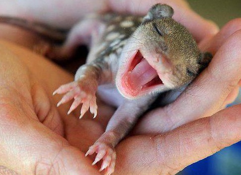 &amp;ETH;&amp;frac14;&amp;ETH;&amp;micro;&amp;ETH;&amp;para;&amp;ETH;&amp;acute;&amp;Ntilde;&amp;ETH;&amp;frac12;&amp;ETH;&amp;deg;&amp;Ntilde;&amp;ETH;&amp;frac34;&amp;ETH;&amp;acute;&amp;ETH;&amp;frac12;&amp;Ntilde;&amp;Ntilde; &amp;ETH;&amp;ordm;&amp;Ntilde;&amp;ETH;&amp;deg;&amp;Ntilde;&amp;ETH;&amp;frac12;&amp;Ntilde;&amp;Ntilde; &amp;ETH;&amp;ordm;&amp;ETH;&amp;frac12;&amp;ETH;&amp;cedil;&amp;ETH;&amp;sup3;&amp;Ntilde; &amp;ETH;&amp;sup2;&amp;ETH;&amp;micro;&amp;ETH;&amp;acute;&amp;ETH;&amp;micro;&amp;Ntilde;