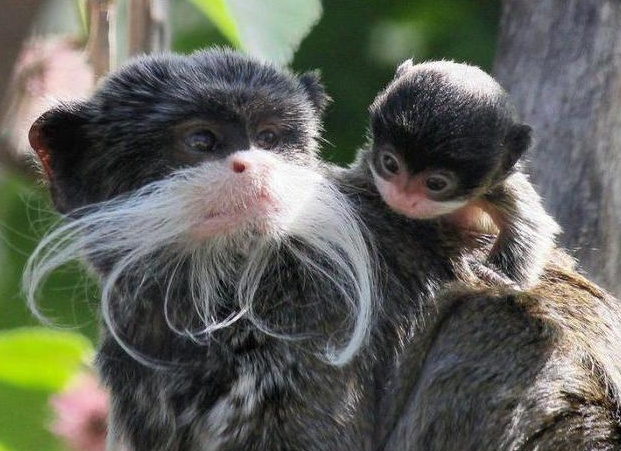 &amp;ETH;&amp;cedil;&amp;ETH;&amp;frac14;&amp;ETH;&amp;iquest;&amp;ETH;&amp;micro;&amp;Ntilde;&amp;ETH;&amp;deg;&amp;Ntilde;&amp;ETH;&amp;frac34;&amp;Ntilde;&amp;Ntilde;&amp;ETH;&amp;ordm;&amp;ETH;&amp;cedil;&amp;ETH;&amp;sup1; &amp;Ntilde;&amp;ETH;&amp;deg;&amp;ETH;&amp;frac14;&amp;ETH;&amp;deg;&amp;Ntilde;&amp;ETH;&amp;cedil;&amp;ETH;&amp;frac12;