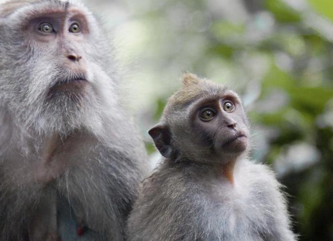 &amp;ETH;&amp;frac34;&amp;ETH;&amp;plusmn;&amp;ETH;&amp;micro;&amp;ETH;&amp;middot;&amp;Ntilde;&amp;ETH;&amp;frac12;&amp;ETH;&amp;ordm;&amp;ETH;&amp;deg; &amp;ETH;&amp;sup2; &amp;ETH;&amp;acute;&amp;ETH;&amp;frac34;&amp;ETH;&amp;frac14;&amp;ETH;&amp;deg;&amp;Ntilde;&amp;ETH;&amp;frac12;&amp;ETH;&amp;cedil;&amp;Ntilde; &amp;Ntilde;&amp;Ntilde;&amp;ETH;&amp;raquo;&amp;ETH;&amp;frac34;&amp;ETH;&amp;sup2;&amp;ETH;&amp;cedil;&amp;Ntilde;&amp;Ntilde;