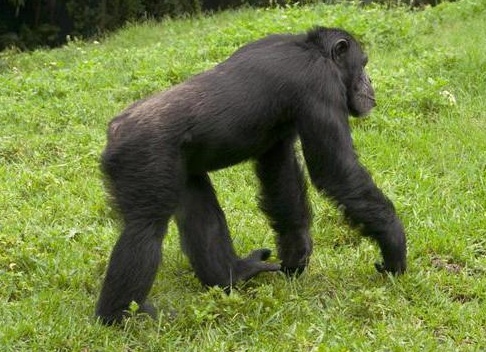 &amp;ETH;&amp;frac34;&amp;Ntilde;&amp;ETH;&amp;raquo;&amp;ETH;&amp;cedil;&amp;Ntilde;&amp;ETH;&amp;cedil;&amp;ETH;&amp;micro; &amp;Ntilde;&amp;ETH;&amp;micro;&amp;ETH;&amp;raquo;&amp;ETH;&amp;frac34;&amp;ETH;&amp;sup2;&amp;ETH;&amp;micro;&amp;ETH;&amp;ordm;&amp;ETH;&amp;deg; &amp;ETH;&amp;frac34;&amp;Ntilde; &amp;Ntilde;&amp;ETH;&amp;micro;&amp;ETH;&amp;raquo;&amp;ETH;&amp;frac34;&amp;ETH;&amp;sup2;&amp;ETH;&amp;micro;&amp;ETH;&amp;ordm;&amp;ETH;&amp;frac34;&amp;ETH;&amp;frac34;&amp;ETH;&amp;plusmn;&amp;Ntilde;&amp;ETH;&amp;deg;&amp;ETH;&amp;middot;&amp;ETH;&amp;frac12;&amp;Ntilde;&amp;Ntilde; &amp;ETH;&amp;frac34;&amp;ETH;&amp;plusmn;&amp;ETH;&amp;micro;&amp;ETH;&amp;middot;&amp;Ntilde;&amp;Ntilde;&amp;ETH;&amp;frac12;