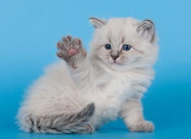 &amp;ETH;&amp;frac12;&amp;ETH;&amp;micro;&amp;ETH;&amp;sup2;&amp;Ntilde;&amp;ETH;&amp;ordm;&amp;ETH;&amp;deg;&amp;Ntilde; &amp;ETH;&amp;frac14;&amp;ETH;&amp;deg;&amp;Ntilde;&amp;ETH;&amp;ordm;&amp;ETH;&amp;deg;&amp;Ntilde;&amp;ETH;&amp;deg;&amp;ETH;&amp;acute;&amp;ETH;&amp;frac12;&amp;ETH;&amp;deg;&amp;Ntilde; &amp;ETH;&amp;frac34;&amp;Ntilde;&amp;ETH;&amp;middot;&amp;Ntilde;&amp;ETH;&amp;sup2;&amp;Ntilde; &amp;ETH;&amp;iquest;&amp;ETH;&amp;frac34;&amp;ETH;&amp;ordm;&amp;Ntilde;&amp;ETH;&amp;iquest;&amp;ETH;&amp;deg;&amp;Ntilde;&amp;ETH;&amp;micro;&amp;ETH;&amp;raquo;&amp;ETH;&amp;micro;&amp;ETH;&amp;sup1;