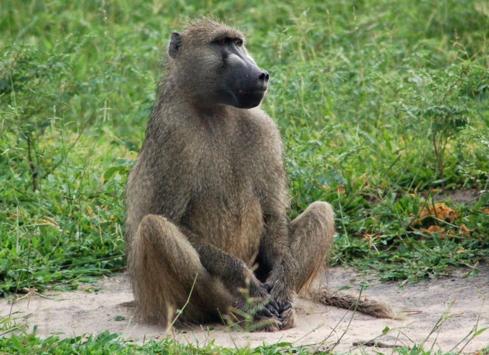 &amp;ETH;&amp;frac14;&amp;ETH;&amp;micro;&amp;ETH;&amp;acute;&amp;ETH;&amp;sup2;&amp;ETH;&amp;micro;&amp;ETH;&amp;para;&amp;ETH;&amp;cedil;&amp;ETH;&amp;sup1; &amp;ETH;&amp;iquest;&amp;ETH;&amp;deg;&amp;ETH;&amp;sup2;&amp;ETH;&amp;cedil;&amp;ETH;&amp;deg;&amp;ETH;&amp;frac12;