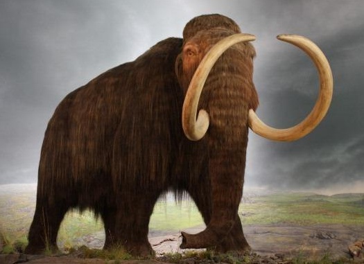 &amp;ETH;&amp;ETH;&amp;cedil;&amp;ETH;&amp;sup2;&amp;ETH;&amp;frac34;&amp;Ntilde;&amp;ETH;&amp;frac12;&amp;Ntilde;&amp;ETH;&amp;micro;, &amp;ETH;&amp;cedil;&amp;Ntilde;&amp;Ntilde;&amp;ETH;&amp;micro;&amp;ETH;&amp;middot;&amp;ETH;&amp;frac12;&amp;Ntilde;&amp;ETH;&amp;sup2;&amp;Ntilde;&amp;ETH;&amp;cedil;&amp;ETH;&amp;micro; &amp;ETH;&amp;iquest;&amp;ETH;&amp;frac34; &amp;ETH;&amp;sup2;&amp;ETH;&amp;cedil;&amp;ETH;&amp;frac12;&amp;ETH;&amp;micro; &amp;Ntilde;&amp;ETH;&amp;micro;&amp;ETH;&amp;raquo;&amp;ETH;&amp;frac34;&amp;ETH;&amp;sup2;&amp;ETH;&amp;micro;&amp;ETH;&amp;ordm;&amp;ETH;&amp;deg;